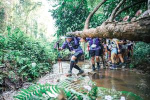 BIB: 
                            <button type="button" onclick="openModal(25472312)" class="btn btn-primary btn-sm float-right btn-popup" data-toggle="modal" data-target=".modal-high-quality">
                        <i class="fas fa-shopping-cart"></i> Add to Cart
                    </button>
                                            <button type="button" onclick="isThisMe(25472312, true)" class="btn btn-success btn-sm float-right btn-popup btn-isme hidden" data-toggle="tooltip" data-placement="bottom" title="นี่คือรูปของคุณใช่ไหม คลิกที่นี่เพื่อเอาเข้าอัลบั้ม">
                        <i class="fas fa-plus"></i> Add to album
                    </button>
                    <button type="button" onclick="isThisMe(25472312, false)" class="btn btn-warning btn-sm float-right btn-popup btn-isnotme hidden">
                        <i class="fas fa-ban"></i> Remove from album
                    </button>